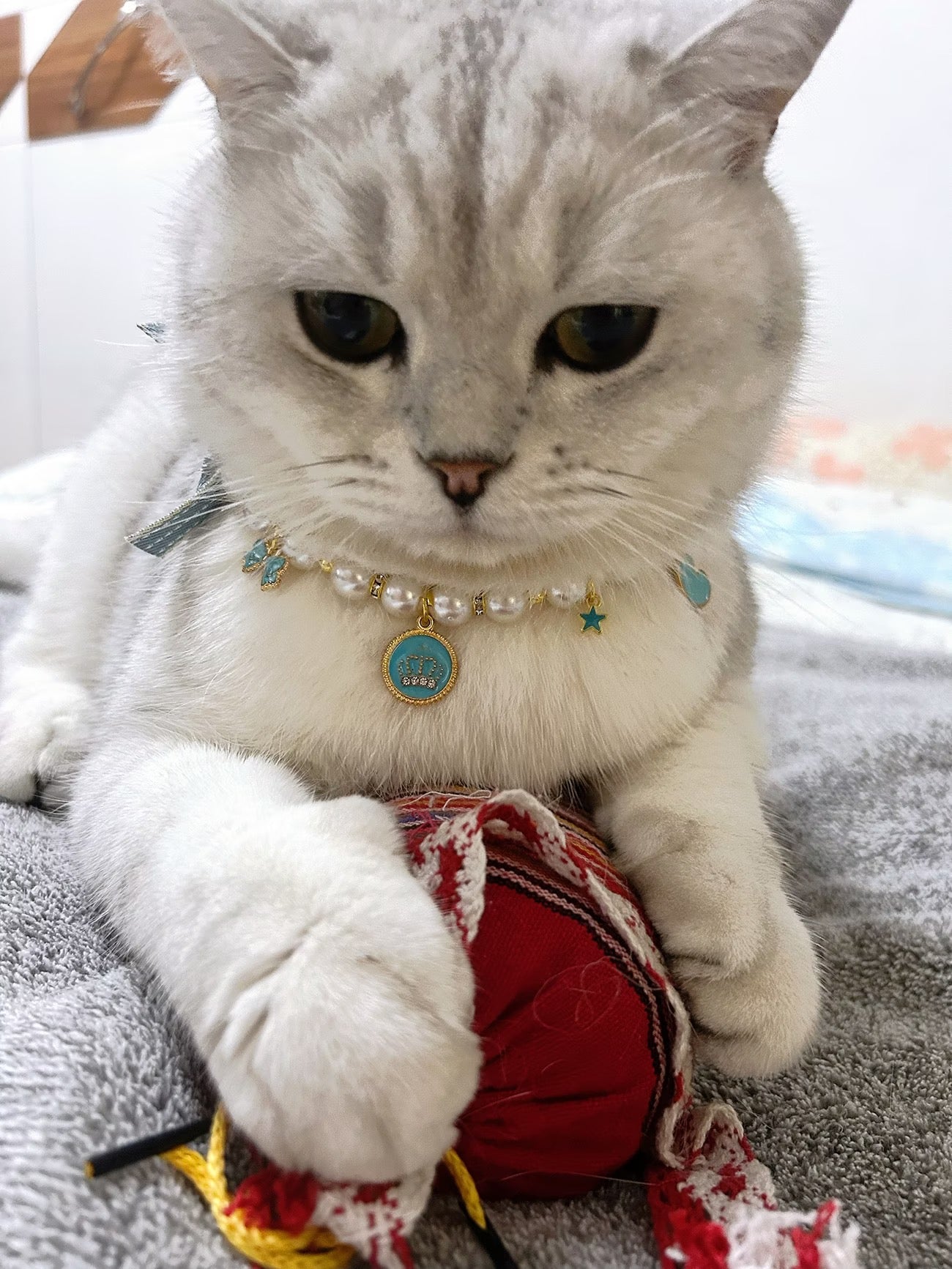 Green and red pet collar set