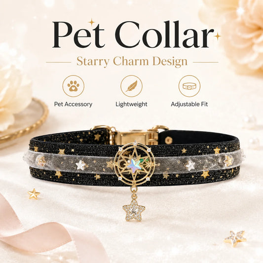 Black Star Velvet Pet Choker