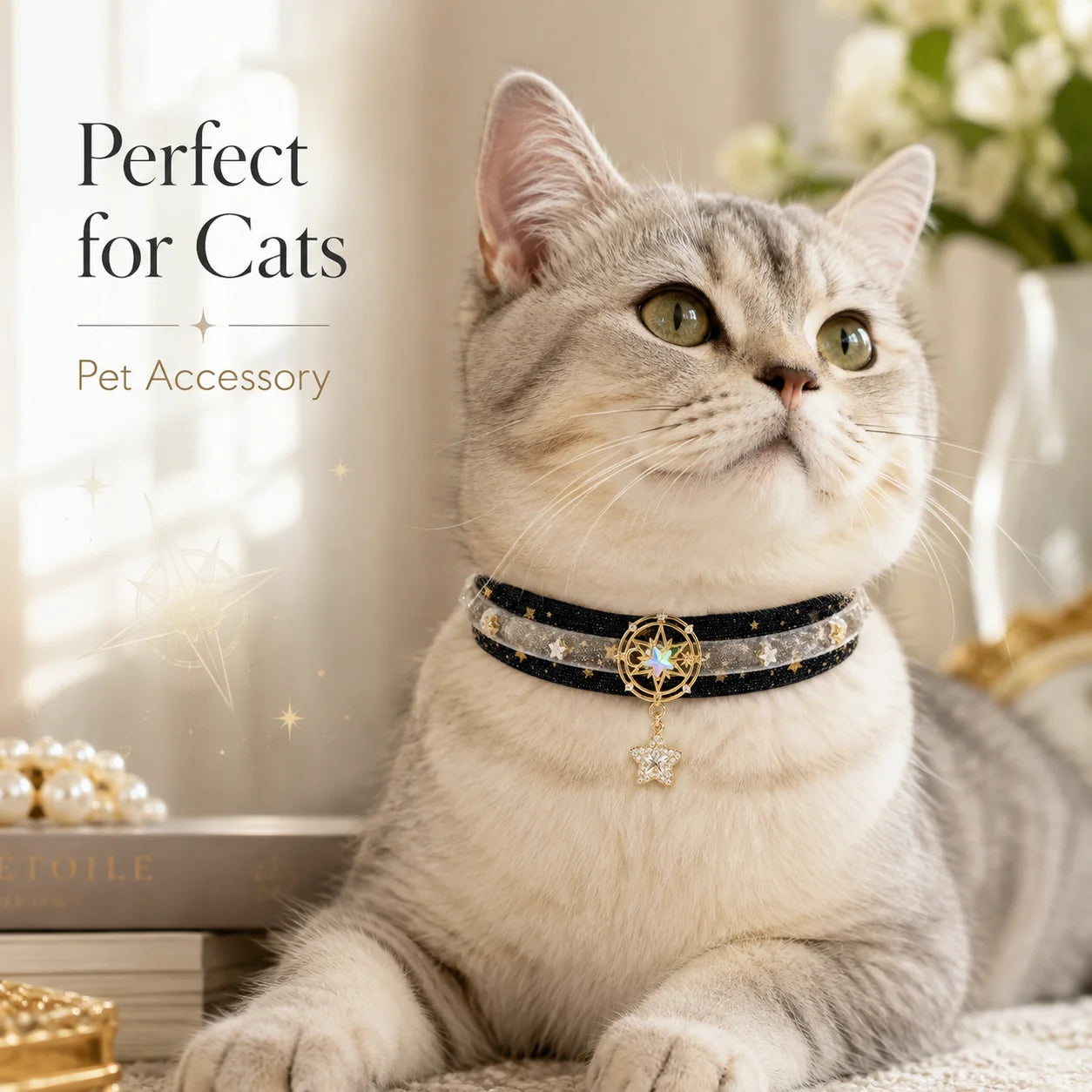 Black Star Velvet Pet Choker